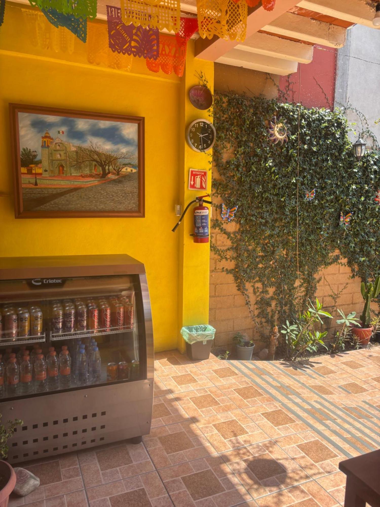Hotel Posada "Mi Rosita" Oaxaca Экстерьер фото